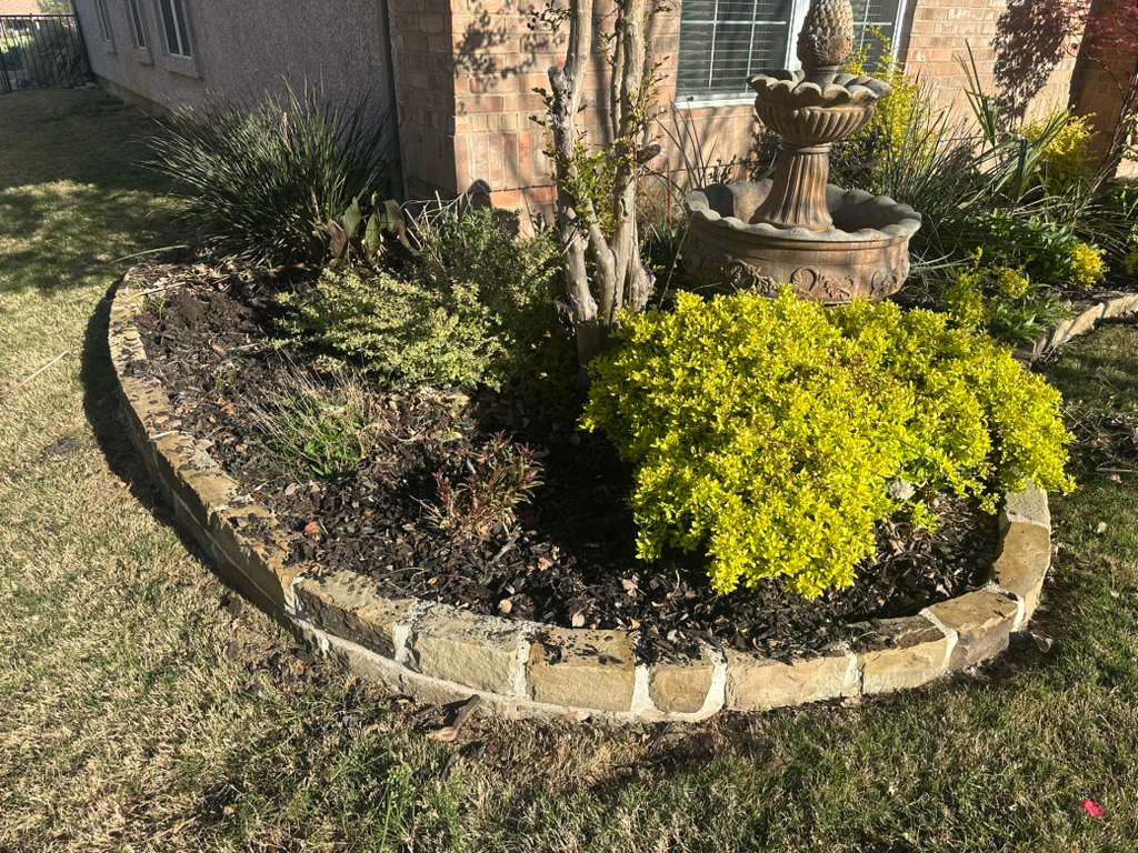 NCTX MORENO'S LANDSCAPING - Project 1